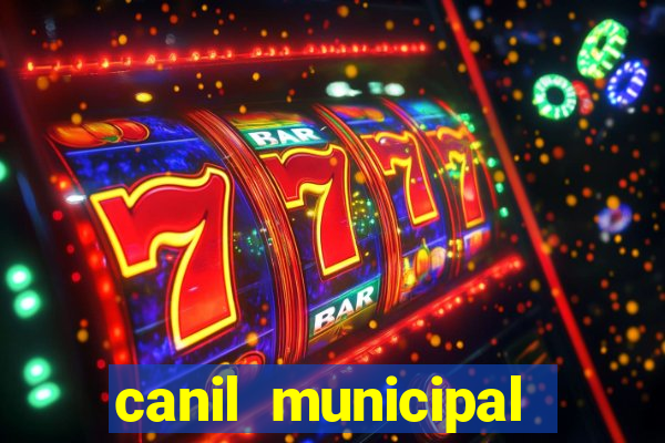 canil municipal porto alegre